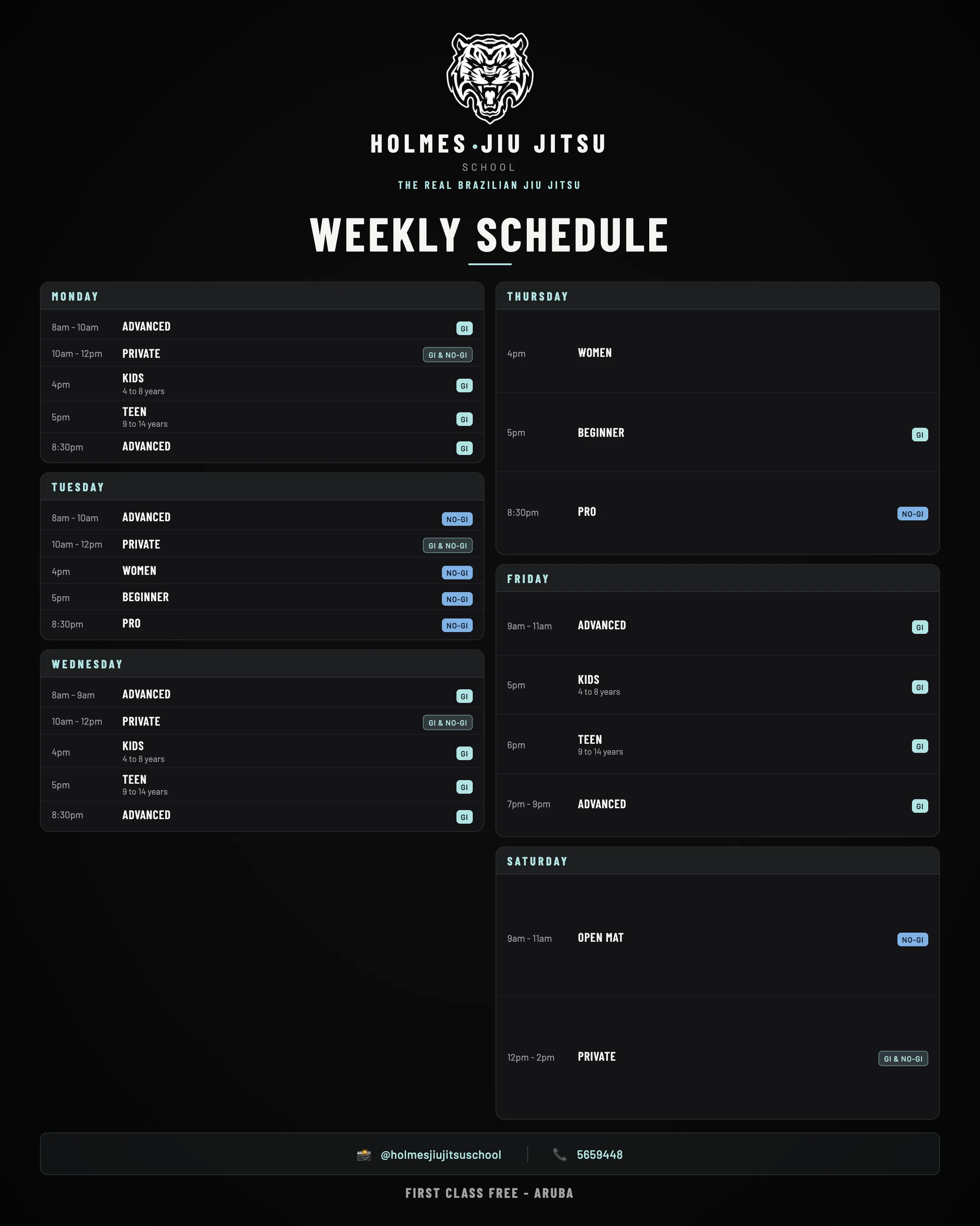 Holmes Jiu Jitsu weekly class schedule